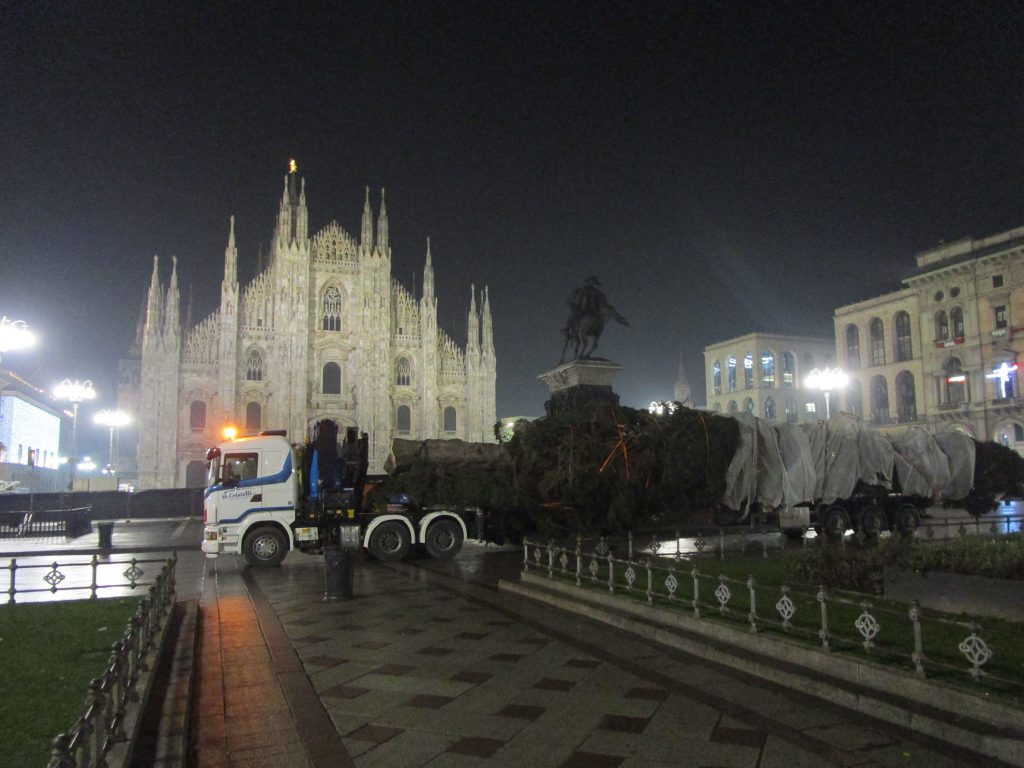 Un Natale Eccezionale: il viaggio dell'albero di Natale di Milano